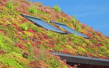Kirkpatrick Fleming living roof systems