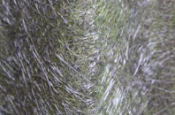 Kirkpatrick Fleming fibreglass roof work